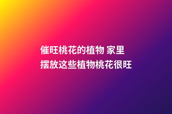 催旺桃花的植物 家里摆放这些植物桃花很旺